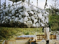 塞克格賓網