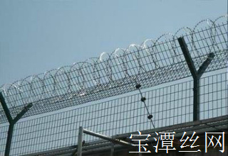 監獄防護網